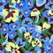 Pansy Patch