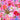 Flowerburst