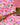 Flowerburst Large Wet Bag
