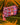 The Pom Pom - Cosmetic Bag - Fiesta