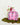 The Tote - Lunch Bag - Sweet Pea